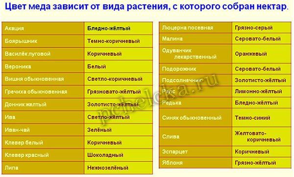 Какой мед бывает название и фото